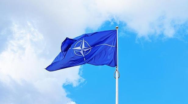 Trump NATO Değerlendirmesi