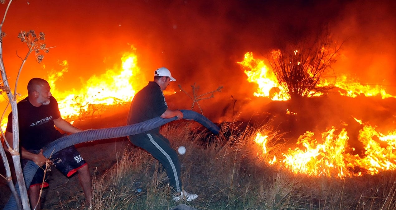 bodrum akyarlarda makilik yangini panigeyolacti bpONW14H