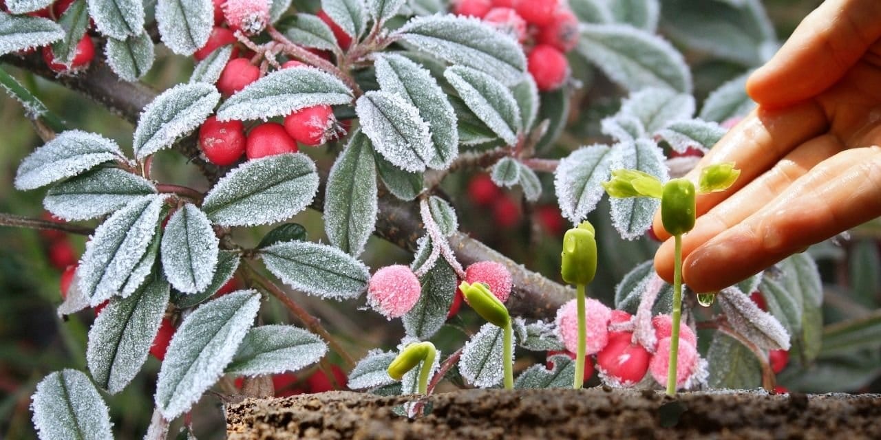 don ve kurakligin faturasi agir ihracat sampiyonuydu ciddi kayip bekleniyor vSd9p5H5