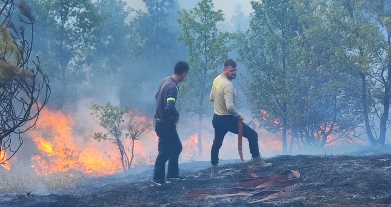 duzcede aniz yangini kontrol altina alindi JMXt7WIm