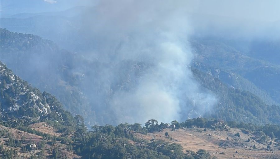 mugla koycegizde orman yangini ekipler mudahale ediyor r5pA78cz