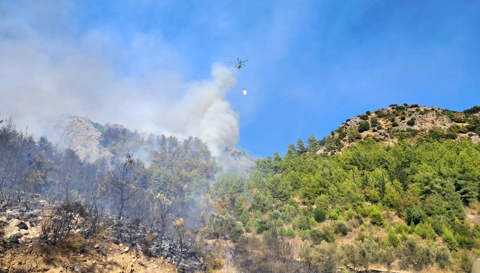 serikteki orman yanginina bir gozalti 1hP2RAMH