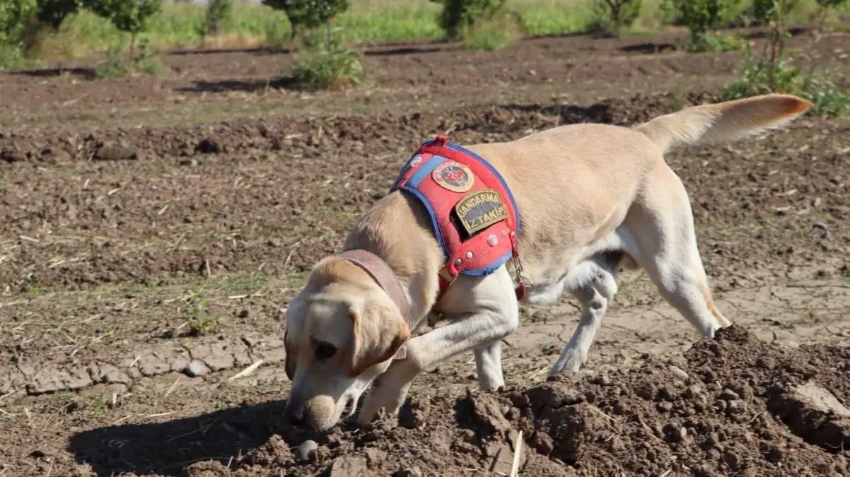 alzheimer hastasi kayip islam temesin arama calismalari devam ediyor exywFBii.jpg