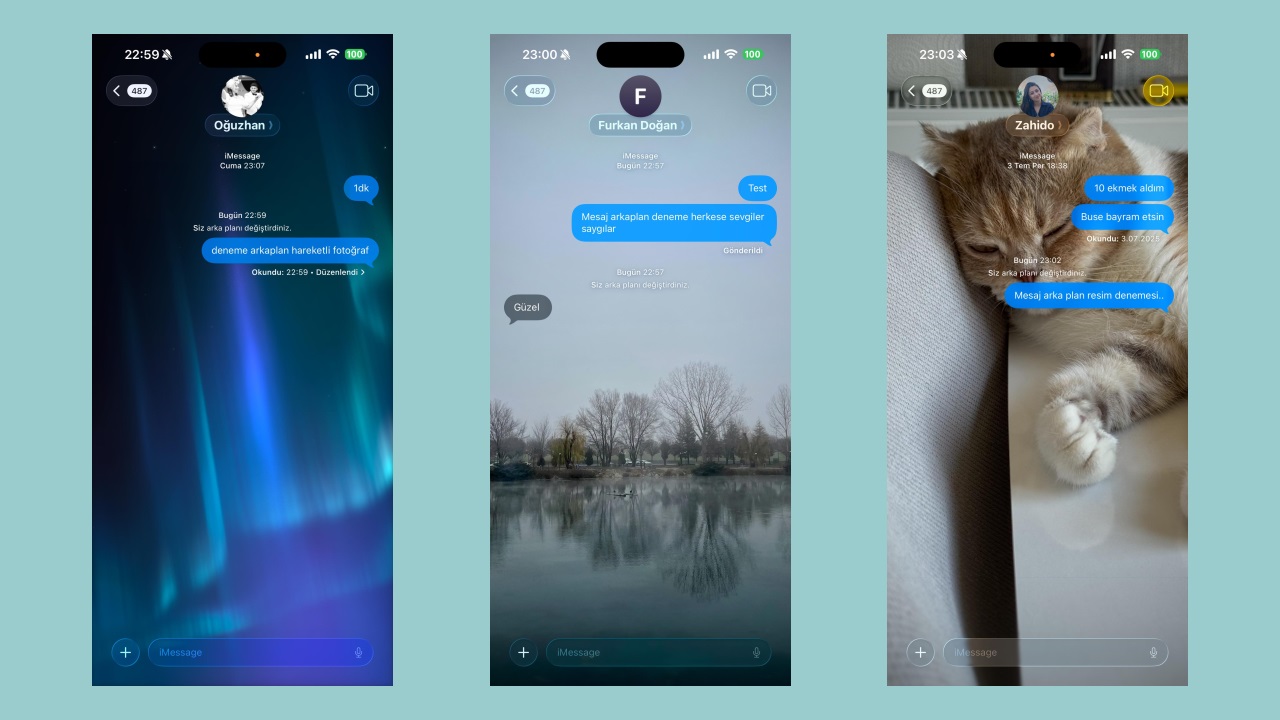 Ekran Görüntüsü Özellikleri