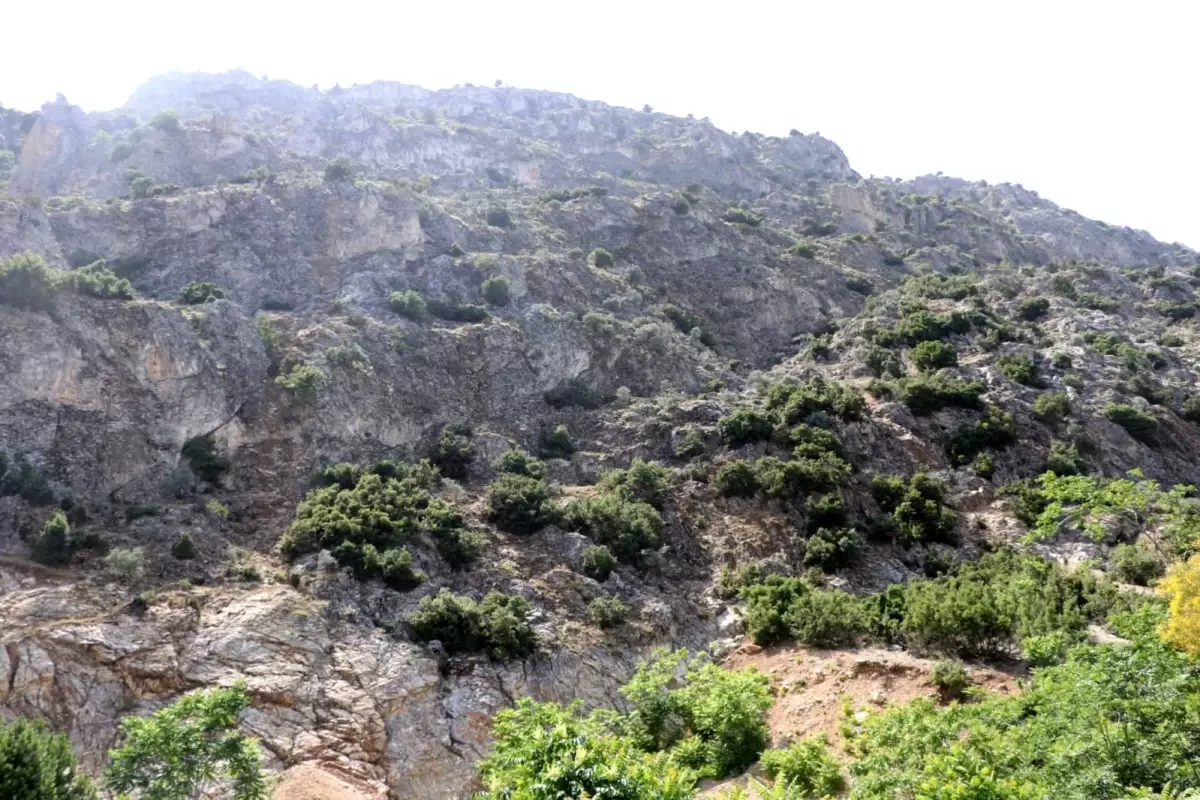 ispartada kaybolan 75 yasindaki adam icin arama calismalari baslatildi biDFnDve.jpg