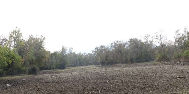 turkiyenin 3uncu buyuk longozu da kurudu wNW7tD46.jpg