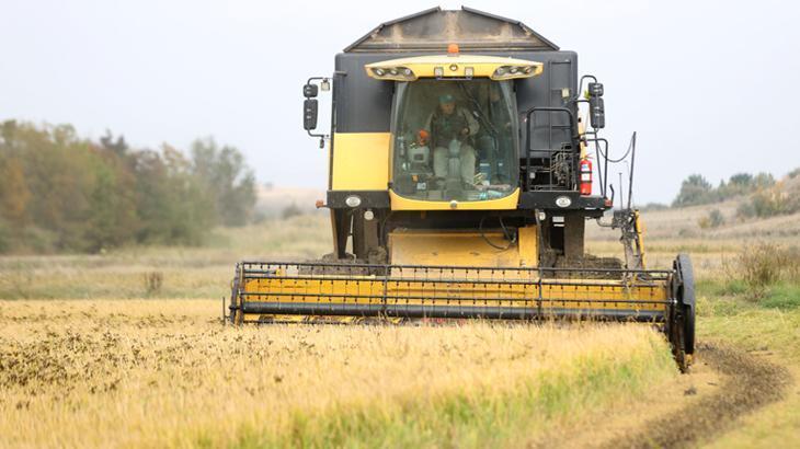 turkiyenin celtik ambari olarak nitelenen trakyada hasat tamamlandi 8KSQGLhR.jpg